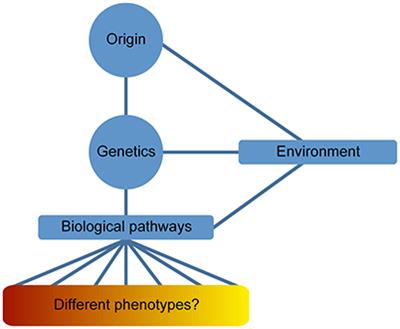 “Gestaltomics”: Systems Biology Schemes for the Study of Neuropsychiatric Diseases